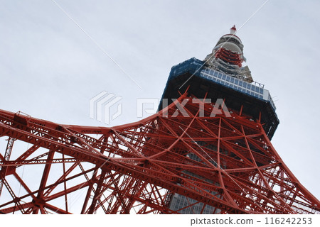 Tokyo Tokyo 116242253