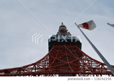 東京 東京 116242256