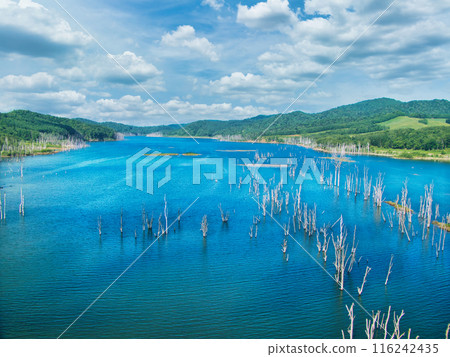 Landscape photo Landscape photo 116242435