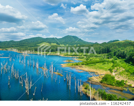 風景照片 116242437