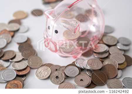 Pig money box and cash Pig money box and cash 116242492