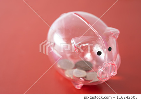 Pig money box and cash Pig money box and cash 116242505