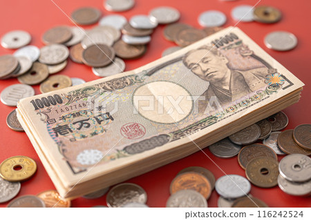 Pig money box and cash Pig money box and cash 116242524