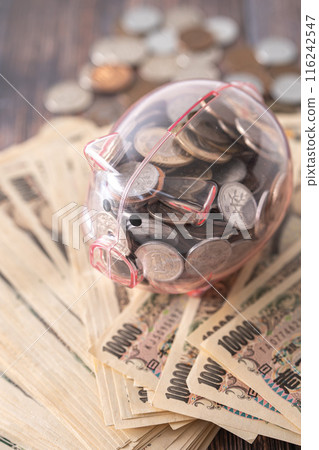 豬存錢筒和現金 116242547