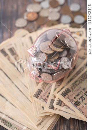 Pig money box and cash Pig money box and cash 116242548