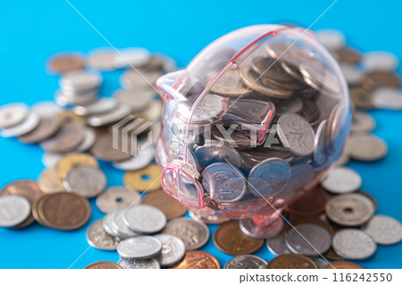 Pig money box and cash Pig money box and cash 116242550