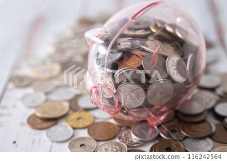Pig money box and cash Pig money box and cash 116242564
