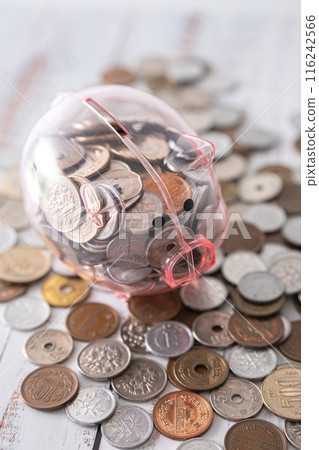 Pig money box and cash Pig money box and cash 116242566