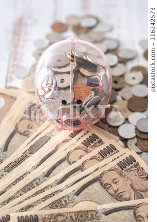 Pig money box and cash Pig money box and cash 116242573