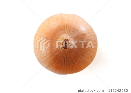 新鮮的洋蔥 116242980