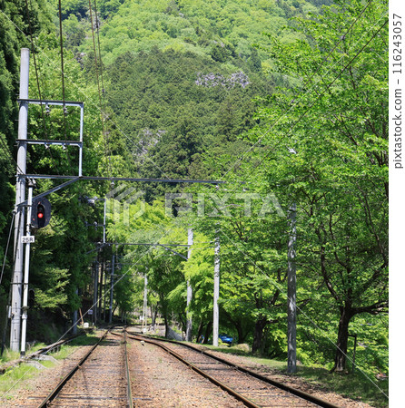 Inside Eizan Electric Railway's Ninose Station with green foliage 116243057