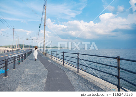 享受大海的年輕女子 享受大海的年輕女子 116243156