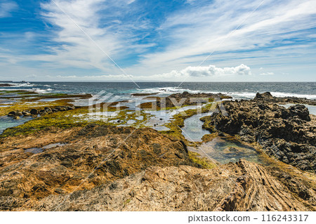 Yakushima's largest raised coral reef (summer) Harutahama Beach 116243317