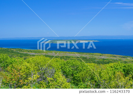 Yagishiri Island from Teuri Island: Hokkaido's spectacular remote island tour 116243370