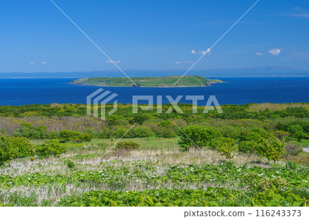 Yagishiri Island from Teuri Island: Hokkaido's spectacular remote island tour 116243373