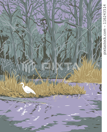 Great Egret in Jean Lafitte National Historical Park Louisiana WPA Poster Art Great Egret in Jean Lafitte National Historical Park Louisiana WPA Poster Art 116243514
