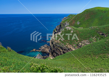 Spectacular views of Teuri Island - Hokkaido remote island trip Spectacular views of Teuri Island - Hokkaido remote island trip 116243525
