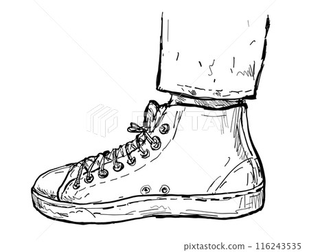 Hi Top or High Cut Classic Shoe Sneakers Drawing 116243535