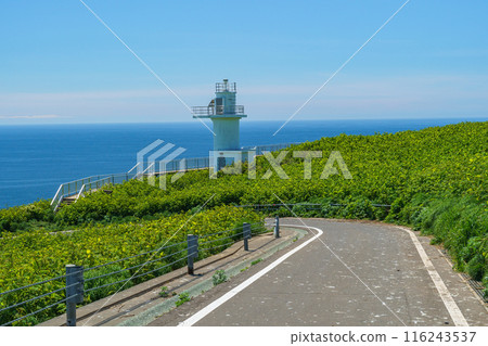 北海道孤島天利島赤井崎燈塔 116243537