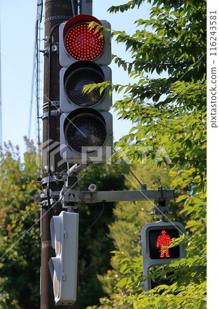 交通燈 交通燈 116243581