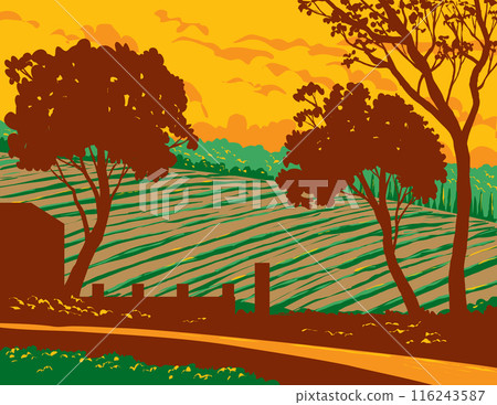 Vineyard in Napa Valley Wine Region California WPA Poster Art 116243587