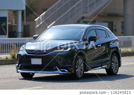 Domestic SUV image 116243813