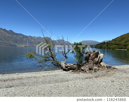 Lakeside Photo of Lake Wakatipu and The Remarkables in Glenorchy New Zealand 116243868