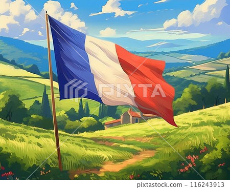 French flag 116243913