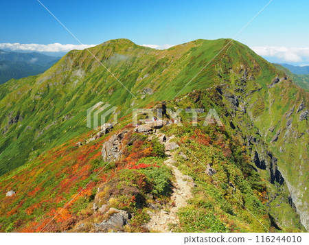 Autumn view of Mt. Ichinokura and Mt. Mokura from Mt. Tanigawa and Mt. Okinomimi 116244010