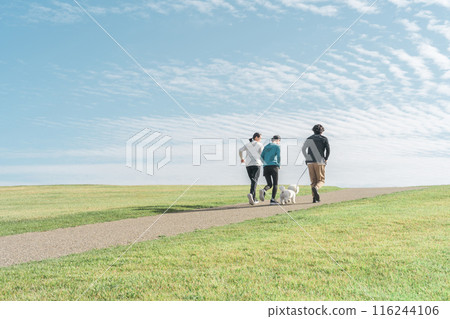 Families, couples, couples, men and women (walking, jogging, running) walking their dogs in a park under the autumn sky Families, couples, couples, men and women (walking, jogging, running) walking their dogs in a park under the autumn sky 116244106