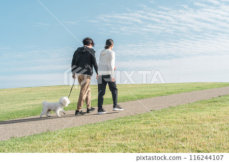 家庭、情侶、男人和女人在秋天的天空下公園遛狗(散步、慢跑、跑步) 家庭、情侶、男人和女人在秋天的天空下公園遛狗(散步、慢跑、跑步) 116244107