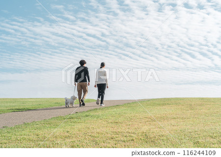 Families, couples, couples, men and women (walking, jogging, running) walking their dogs in a park under the autumn sky 116244109