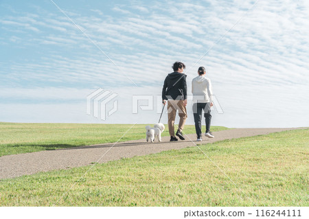 Families, couples, couples, men and women (walking, jogging, running) walking their dogs in a park under the autumn sky 116244111
