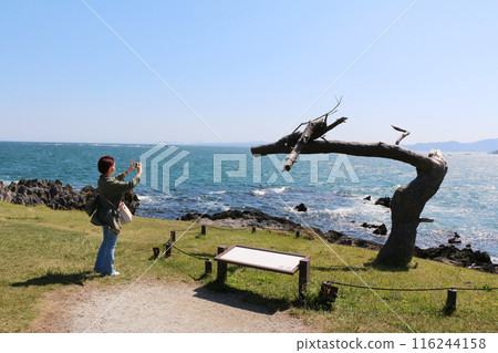 一名女子用手機拍攝岩崎龍之鬆的照片。 116244158