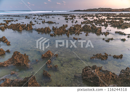 Yakushima's uplifted coral reefs at dusk (October) at Harutahama Beach 116244318