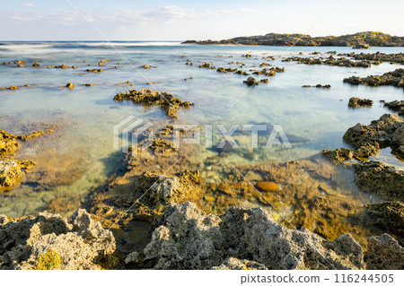 Yakushima's largest raised coral reef, Harutahama Beach (Autumn) 116244505