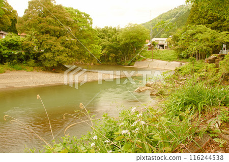 A clear stream that is a little muddy after the rain A clear stream that is a little muddy after the rain 116244538