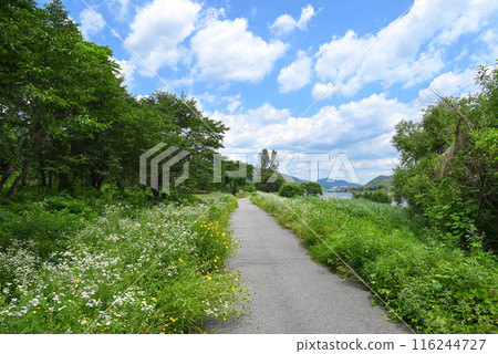 Daeseong-ri National Tourist Site, Walking Path along the Bukhan River [Korea/Gapyeong] 116244727