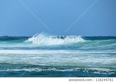 Sea of Japan in summer Sea of Japan in summer 116244781