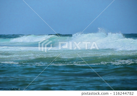 夏季的日本海　 116244782