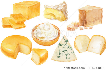 Cheese watercolor illustration set 2 116244813