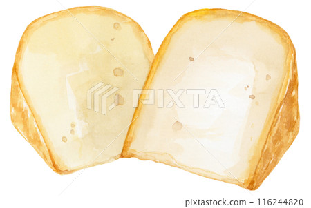 高達起司水彩插圖 116244820