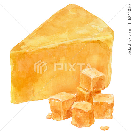 Cheddar cheese watercolor illustration 116244830