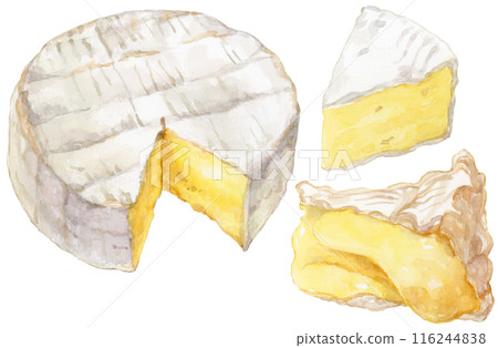 卡門貝爾起司水彩插圖集 116244838