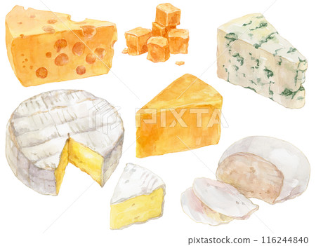 Cheese watercolor illustration set 1 116244840