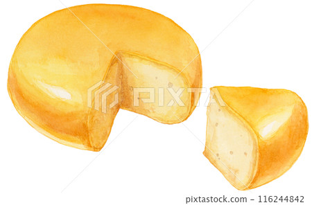 Gouda cheese (whole) watercolor illustration 116244842