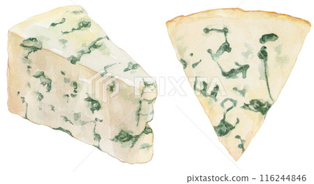 Gorgonzola watercolor illustration Gorgonzola watercolor illustration 116244846