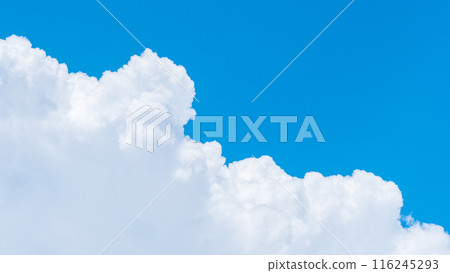 Summer blue sky Summer blue sky 116245293