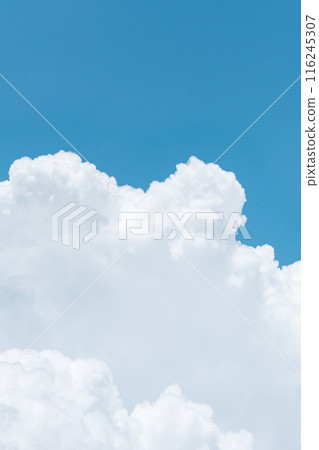 夏天藍天 116245307