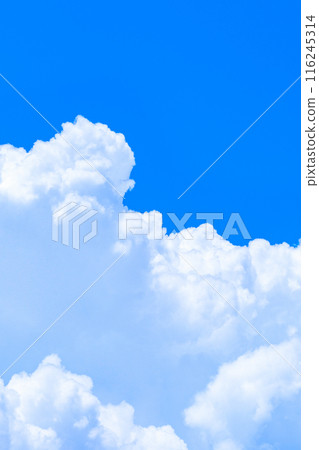 Summer blue sky Summer blue sky 116245314